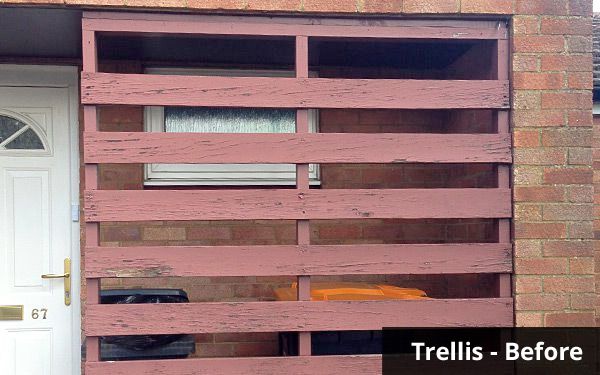 Door canopy with Trellis